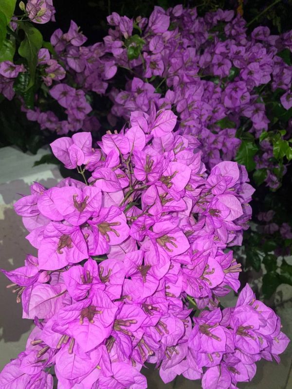 3 ������� �� ���������� ��������� �������� ���������� ����� ������� � ������������