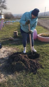 Распасеевский отдел по жизнеобеспечению территорий, совместно с семьями участников СВО, приняли участие в высадке берез