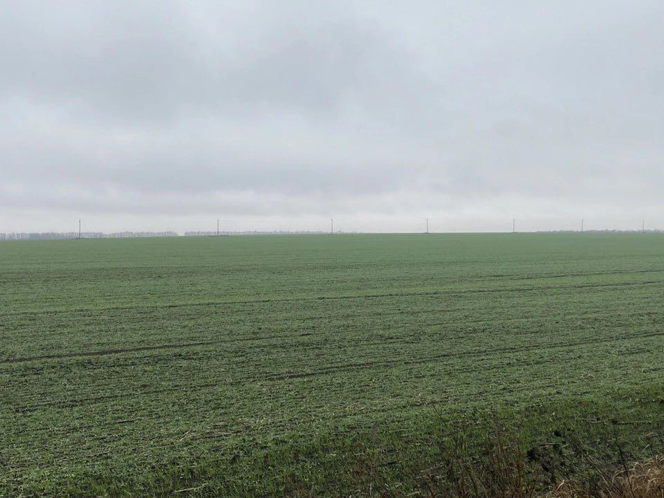 Россельхозцентр проверил состояние озимых в ЛНР