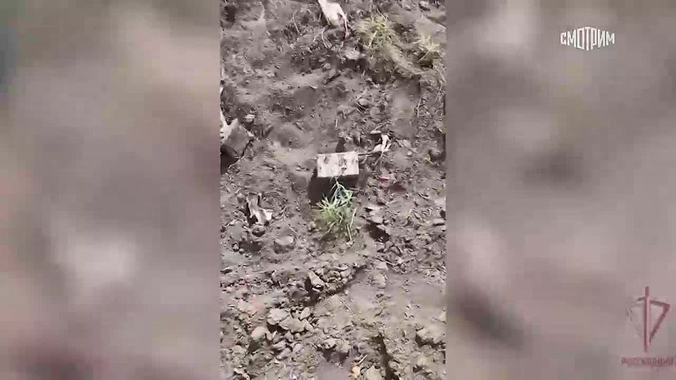 Мобильные огневые группы Росгвардии пулеметным огнем уничтожили четыре украинских беспилотника ВСУ, которые пытались атаковать гражданские объекты в ЛНР