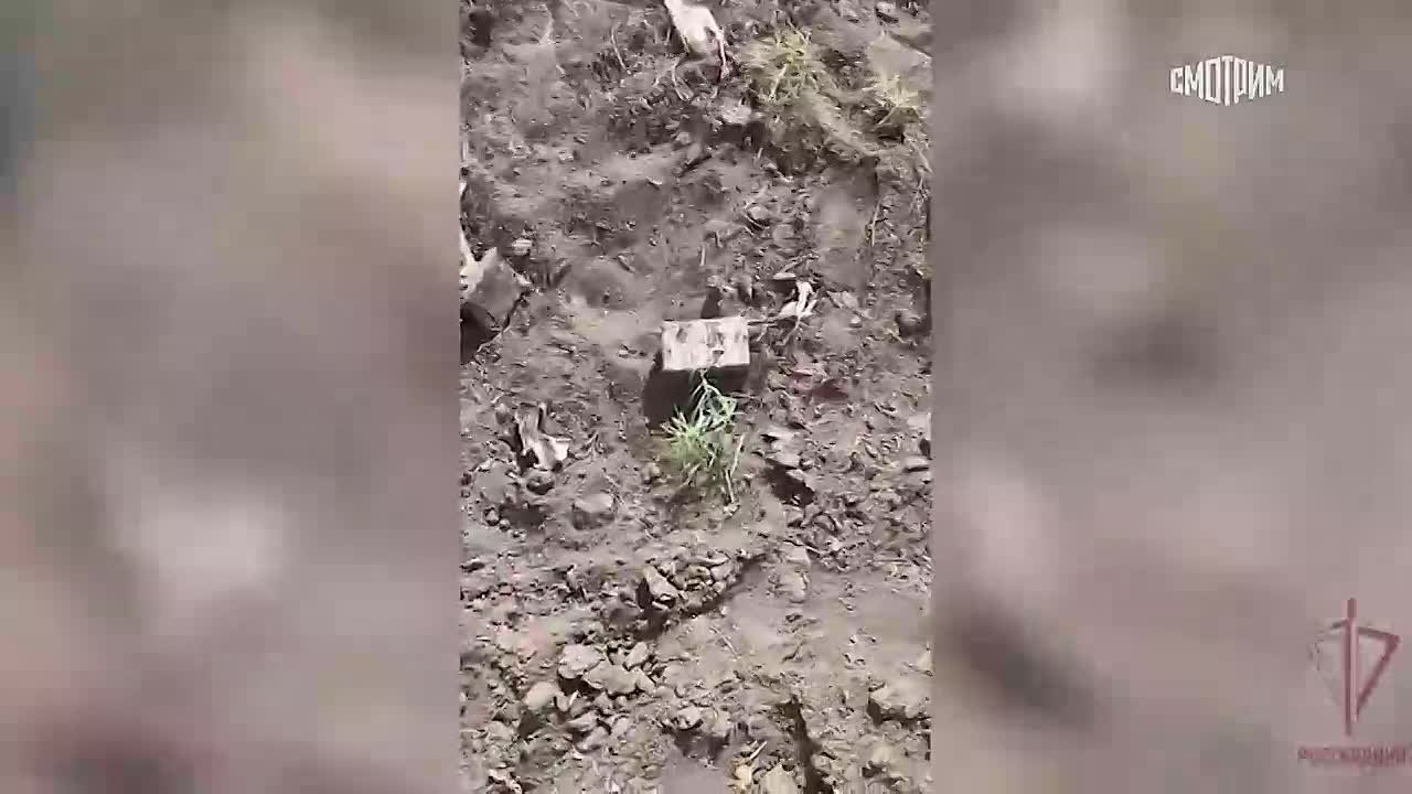 Мобильные огневые группы Росгвардии пулеметным огнем уничтожили четыре украинских беспилотника ВСУ, которые пытались атаковать гражданские объекты в ЛНР