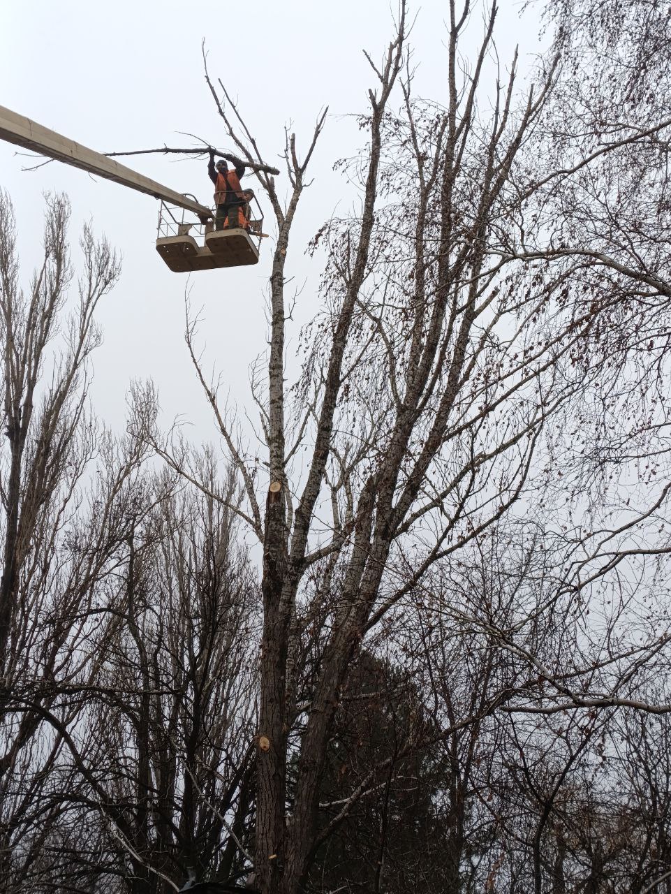 Андрей Рубанцов: В рамках плановых сезонных работ по благоустройству городского округа, особое внимание всегда уделяется территории кладбищ Андрей Рубанцов: В рамках плановых сезонных работ по благоустройству городского округа, особое внимание всегда уделяется территории кладбищ