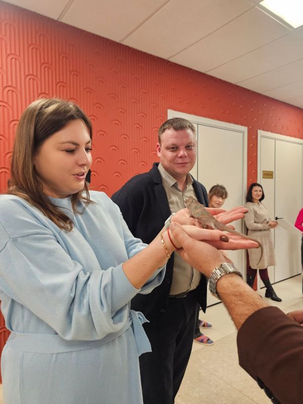 ������ �������: ����-�������: ������ ����������!