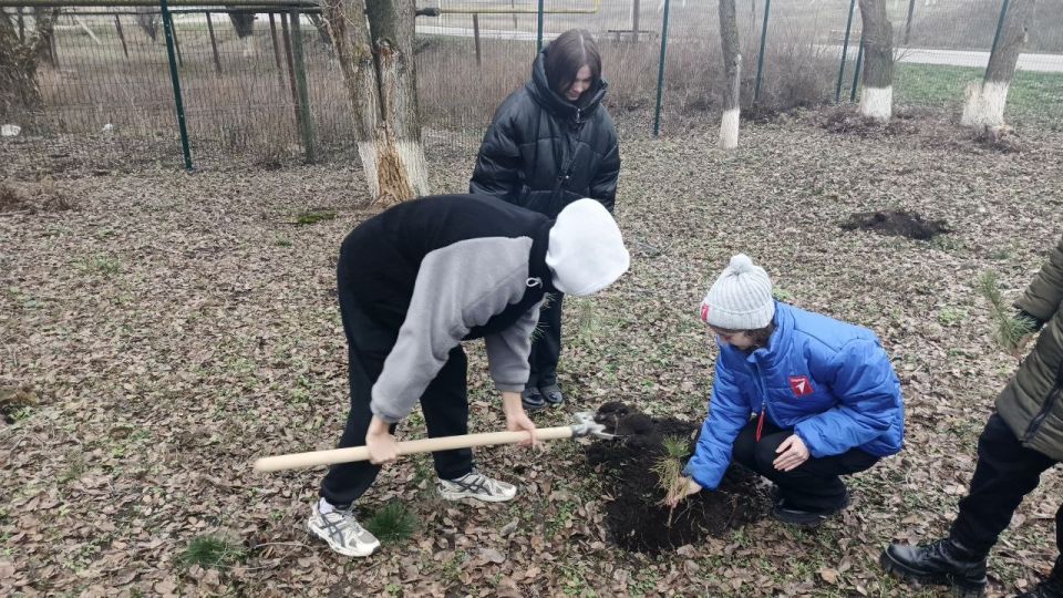 Зелёное будущее Новострельцовки: Акция по посадке сосен у амбулатории и УВК Зелёное будущее Новострельцовки: Акция по посадке сосен у амбулатории и УВК