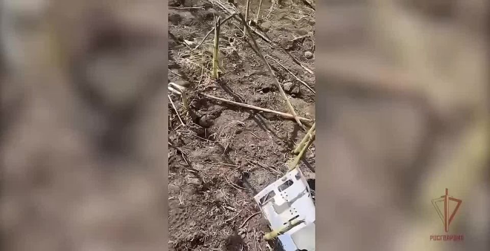 Ночная работа мобильных огневых групп Росгвардии в Луганской Народной Республике