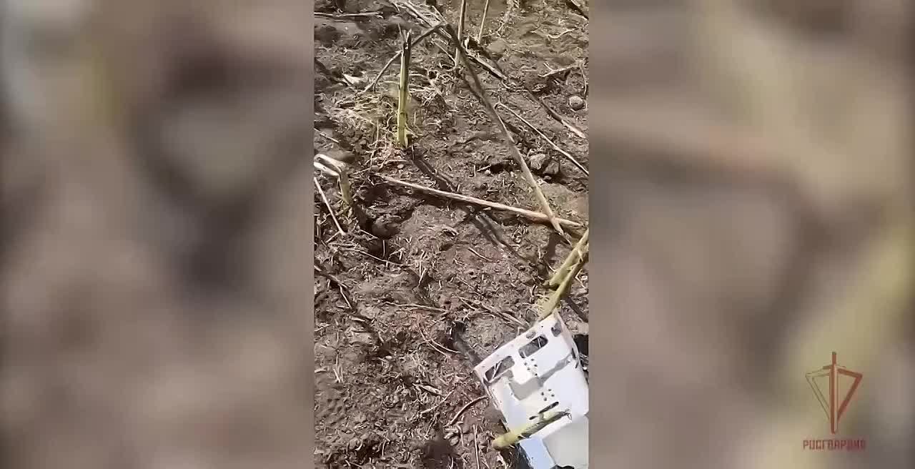 Ночная работа мобильных огневых групп Росгвардии в Луганской Народной Республике