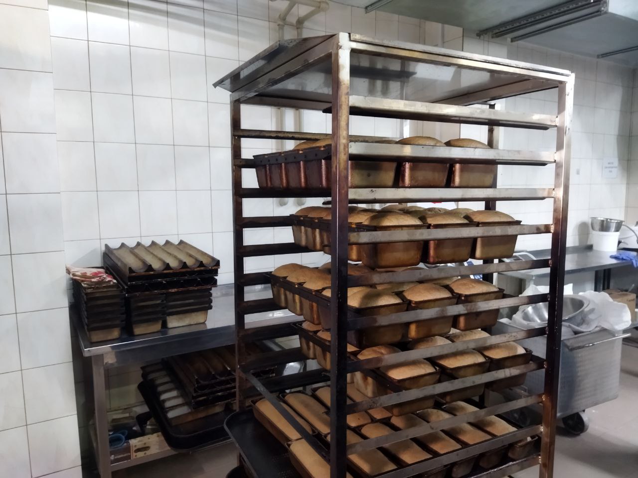 Ровеньковская пекарня расширяет производство благодаря господдержке Ровеньковская пекарня расширяет производство благодаря господдержке