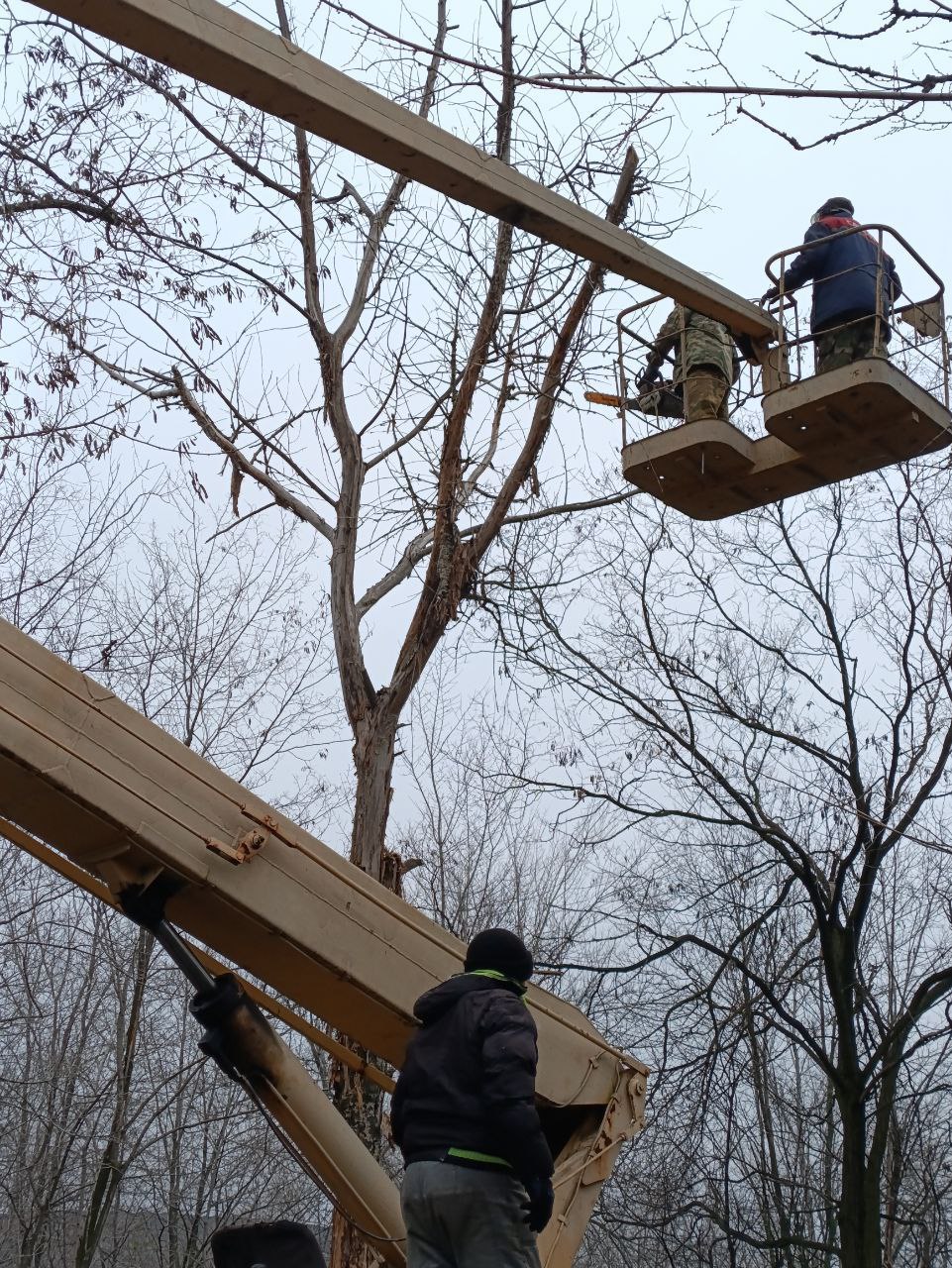 Забота о местах памяти: благоустройство городских кладбищ Забота о местах памяти: благоустройство городских кладбищ
