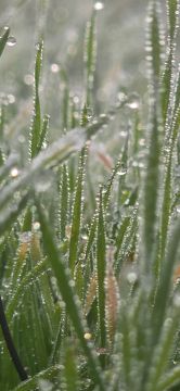   4      3     4  ,       ,       