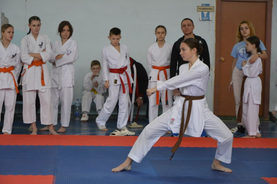 Юные спортсмены Новоайдарского округа одержали очередную победу на соревнованиях по всестилевому каратэ Юные спортсмены Новоайдарского округа одержали очередную победу на соревнованиях по всестилевому каратэ