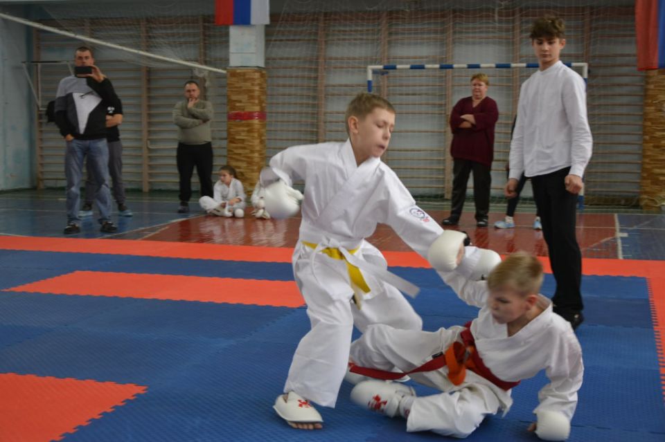 Юные спортсмены Новоайдарского округа одержали очередную победу на соревнованиях по всестилевому каратэ Юные спортсмены Новоайдарского округа одержали очередную победу на соревнованиях по всестилевому каратэ
