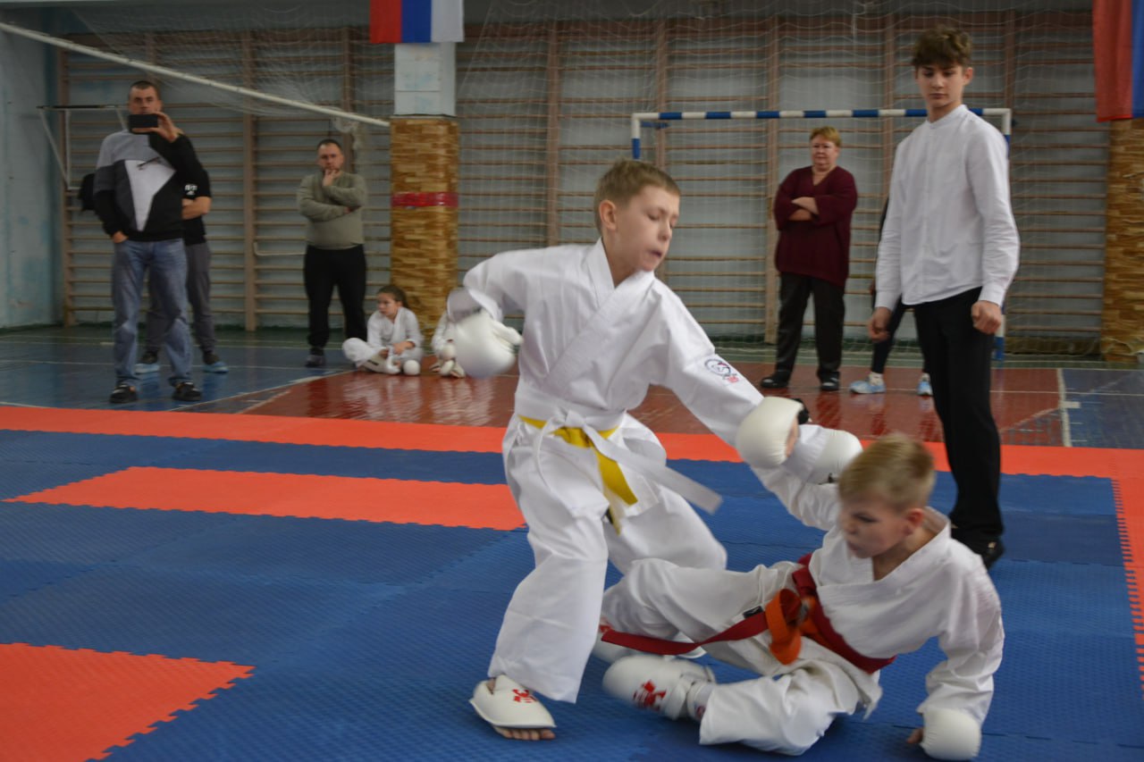 Юные спортсмены Новоайдарского округа одержали очередную победу на соревнованиях по всестилевому каратэ Юные спортсмены Новоайдарского округа одержали очередную победу на соревнованиях по всестилевому каратэ