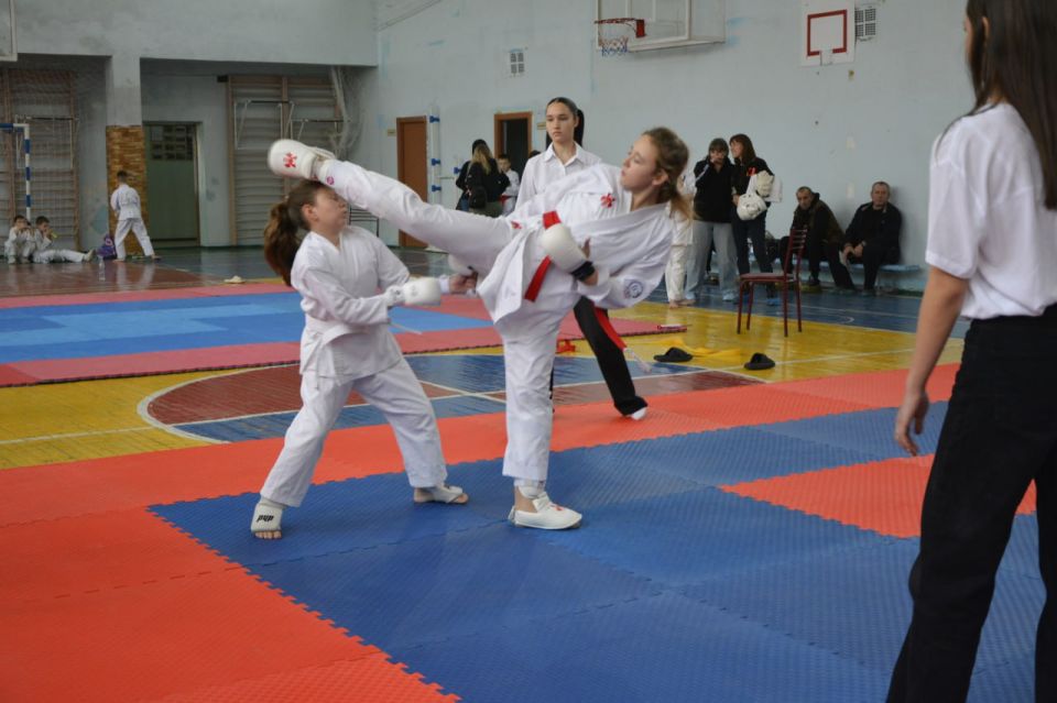 Юные спортсмены Новоайдарского округа одержали очередную победу на соревнованиях по всестилевому каратэ Юные спортсмены Новоайдарского округа одержали очередную победу на соревнованиях по всестилевому каратэ