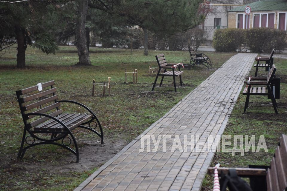 В Кировске приступили к реализации инициативного проекта «Благоустройство сквера площади им. Ленина»