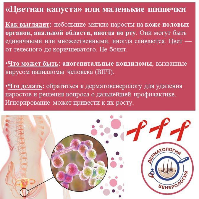 Сыпь «как аллергия»: 4 сигнала на коже, которые нельзя лечить таблетками от зуда Сыпь «как аллергия»: 4 сигнала на коже, которые нельзя лечить таблетками от зуда