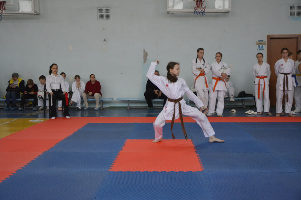 Юные спортсмены Новоайдарского округа одержали очередную победу на соревнованиях по всестилевому каратэ Юные спортсмены Новоайдарского округа одержали очередную победу на соревнованиях по всестилевому каратэ