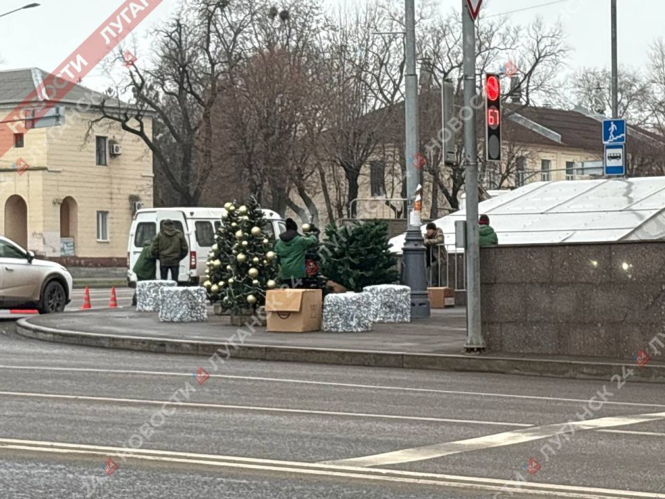 В Луганске на перекрестке Советской и Оборонной ставят небольшие новогодние елочки В Луганске на перекрестке Советской и Оборонной ставят небольшие новогодние елочки