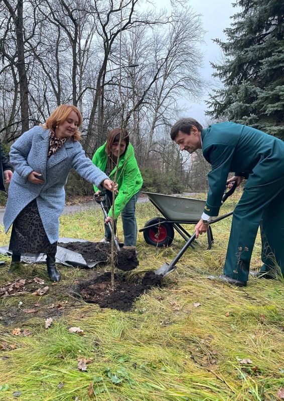 Специалисты Минприроды ЛНР приняли участие в научно-практической конференции «Актуальные вопросы лесной генетики, селекции и биотехнологий» Специалисты Минприроды ЛНР приняли участие в научно-практической конференции «Актуальные вопросы лесной генетики, селекции и биотехнологий»