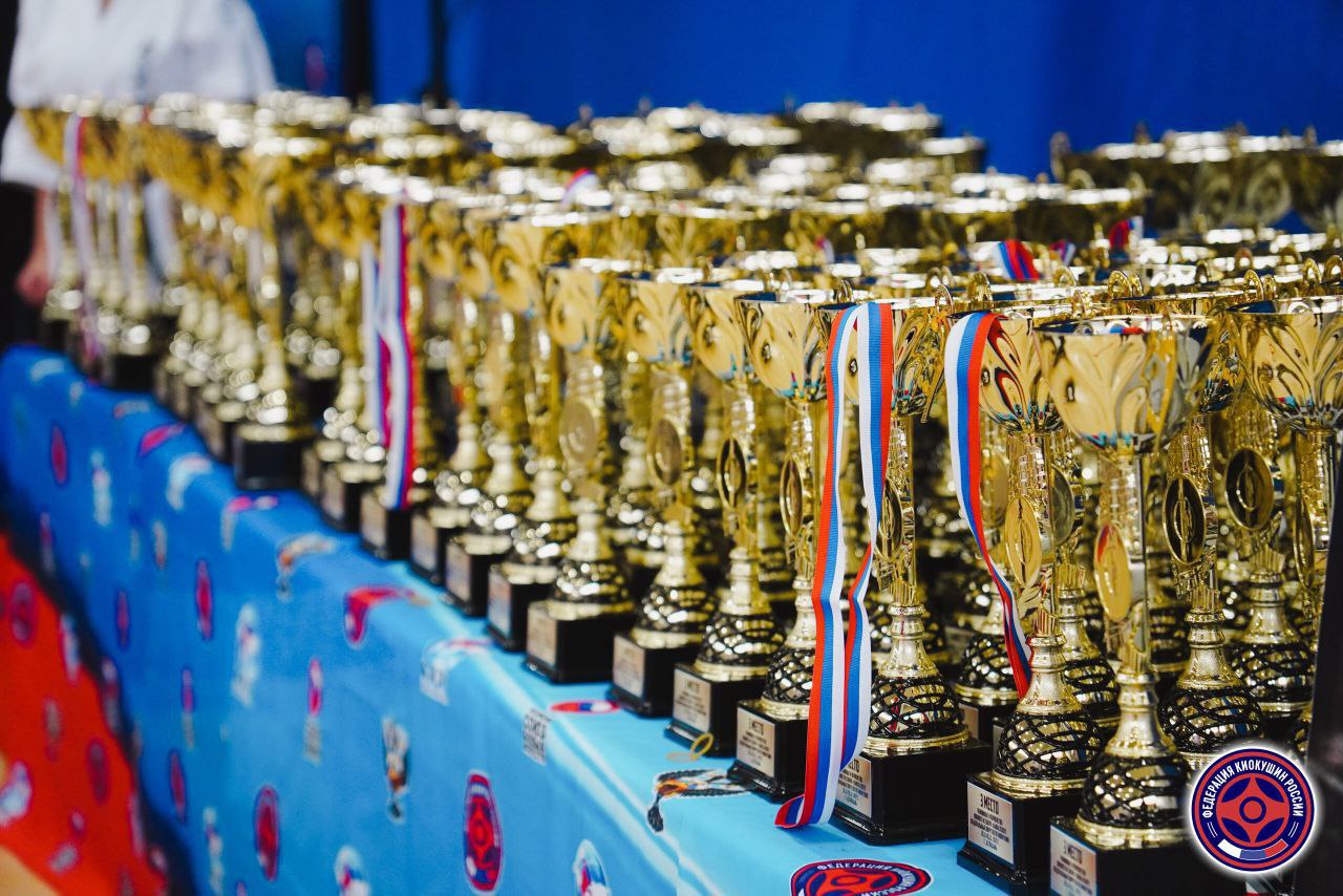 Первенство ЮФО и СКФО киокушин Первенство ЮФО и СКФО киокушин