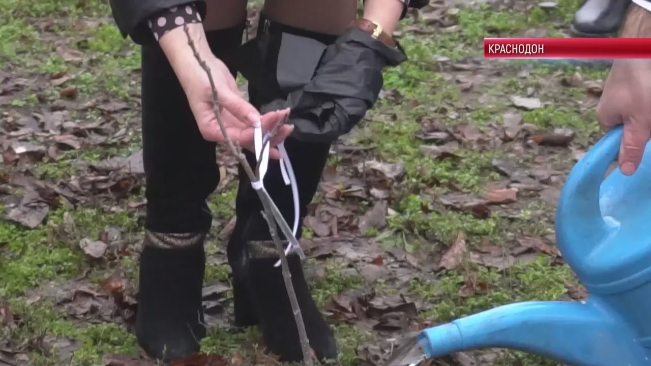 КРАСНОДОН. Школьники Краснодона встретились с представителями Воронежского лесотехнического университета — делегация приехала с профориентационной программой МИХАИЛ ДРАПАЛЮК РЕКТОР ВОРОНЕЖСКОГО ГОСУДАРСТВЕННОГО...