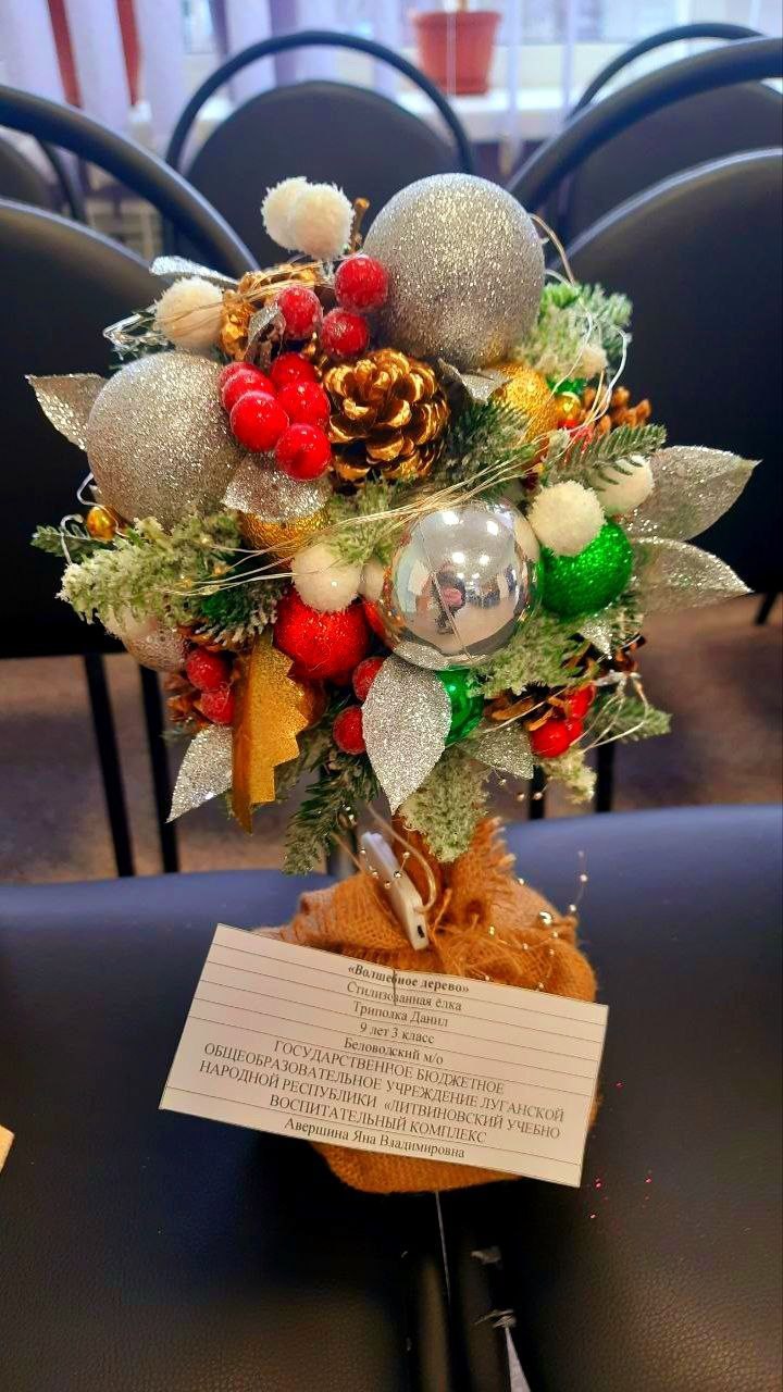 В Беловодском районном центре детского и юношеского творчества успешно прошли муниципальные этапы двух ярких республиканских конкурсов — «Зима — пора чудес» и «Сохраним живую ель»