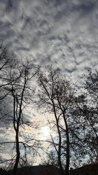   5     5      4  ,       ,    , 