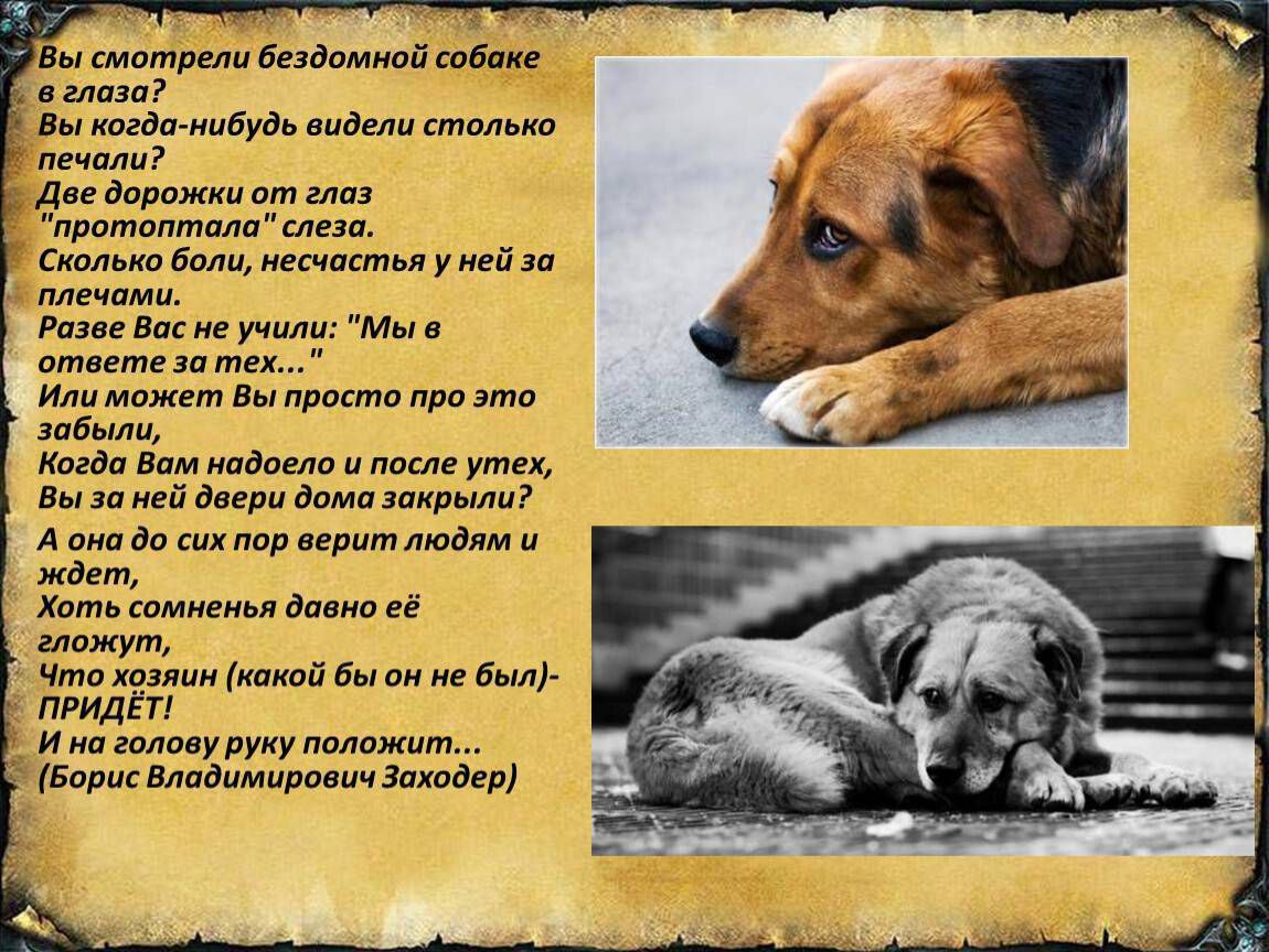 5 ДЕКАБРЯ - ДЕНЬ ВОЛОНТЕРА 5 ДЕКАБРЯ - ДЕНЬ ВОЛОНТЕРА