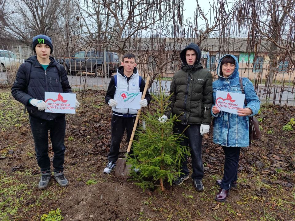 Сегодня отмечается День добровольца, символизирующий ценности гуманизма, гражданской ответственности и стремления к добру Сегодня отмечается День добровольца, символизирующий ценности гуманизма, гражданской ответственности и стремления к добру