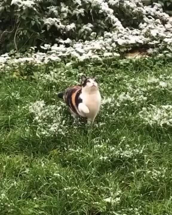 Доброе утро! Пятница, 5 декабря