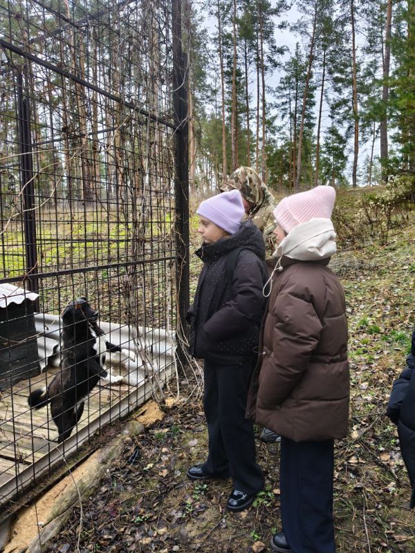 Сегодня, в день волонтёра, 5 декабря, ученики 5 класса ГБОУ ЛНР "СЛСШ им. Грекова П. М." под руководством классного руководителя Беседы Е.А. посетили приют для бездомных животных "DAA", расположенный в селе Валуйское Сегодня, в день волонтёра, 5 декабря, ученики 5 класса ГБОУ ЛНР "СЛСШ им. Грекова П. М." под руководством классного руководителя Беседы Е.А. посетили приют для бездомных животных "DAA", расположенный в селе Валуйское