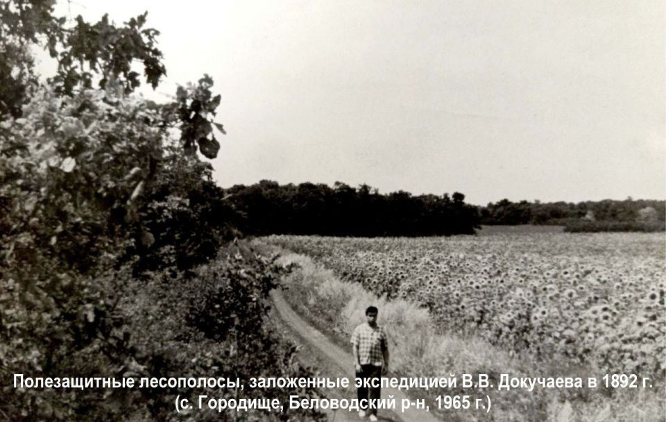 Всемирный день почвы. Сегодня каждому из нас важно помнить, что почва — это тонко сбалансированная природная система, которая служит фундаментом для сельского хозяйства, строительным материалом и источником минеральных... Всемирный день почвы. Сегодня каждому из нас важно помнить, что почва — это тонко сбалансированная природная система, которая служит фундаментом для сельского хозяйства, строительным материалом и источником минеральных...