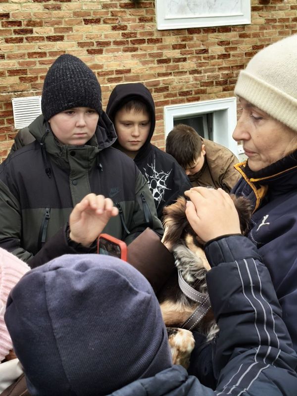 Сегодня, в день волонтёра, 5 декабря, ученики 5 класса ГБОУ ЛНР "СЛСШ им. Грекова П. М." под руководством классного руководителя Беседы Е.А. посетили приют для бездомных животных "DAA", расположенный в селе Валуйское Сегодня, в день волонтёра, 5 декабря, ученики 5 класса ГБОУ ЛНР "СЛСШ им. Грекова П. М." под руководством классного руководителя Беседы Е.А. посетили приют для бездомных животных "DAA", расположенный в селе Валуйское
