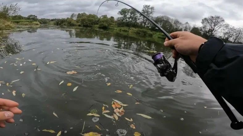 В Минприроды ЛНР посоветовали места для безопасной рыбалки