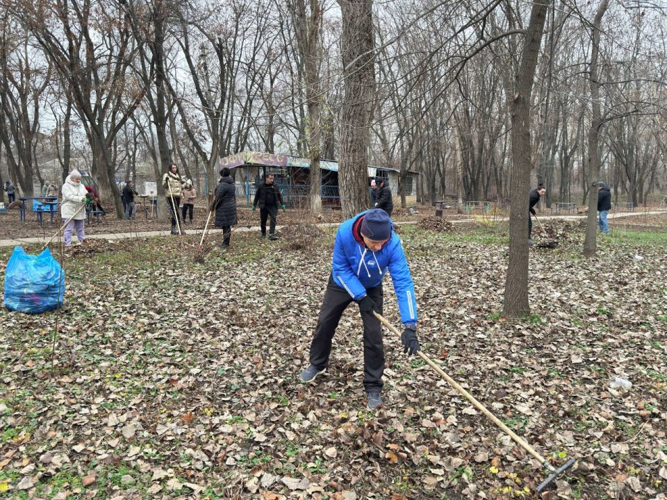 ���� ������: ���� �����������: ��������� ������ ����