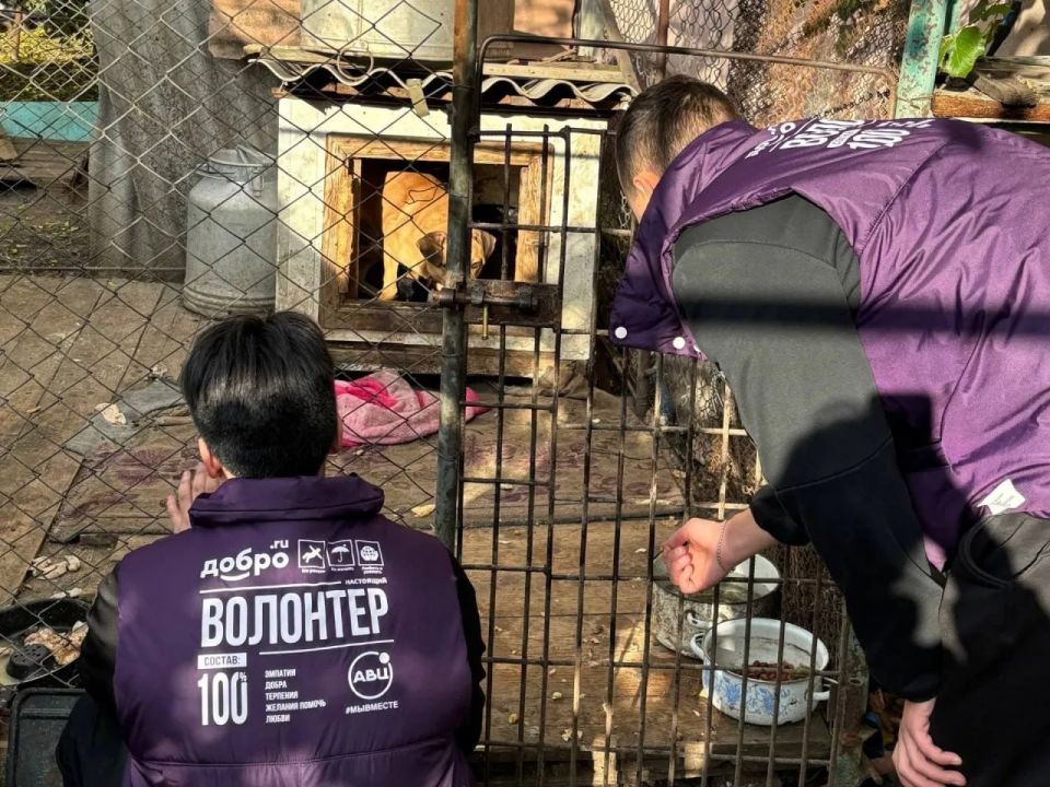 Глава ЛНР Леонид Пасечник поздравил волонтеров региона с Днем добровольца Глава ЛНР Леонид Пасечник поздравил волонтеров региона с Днем добровольца