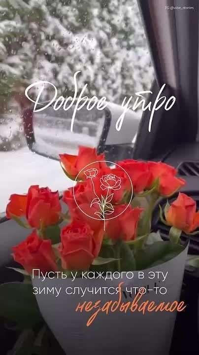 С добрым утром, жители Новоайдарского округа! Пусть этот день будет наполнен яркими эмоциями!