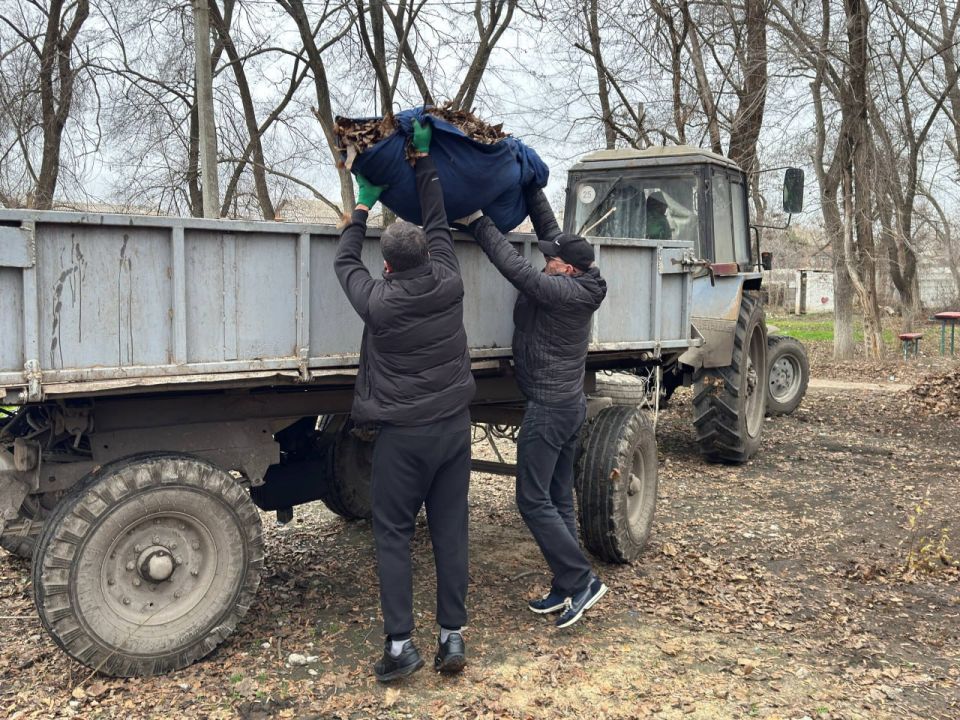 ���� ������: ���� �����������: ��������� ������ ����