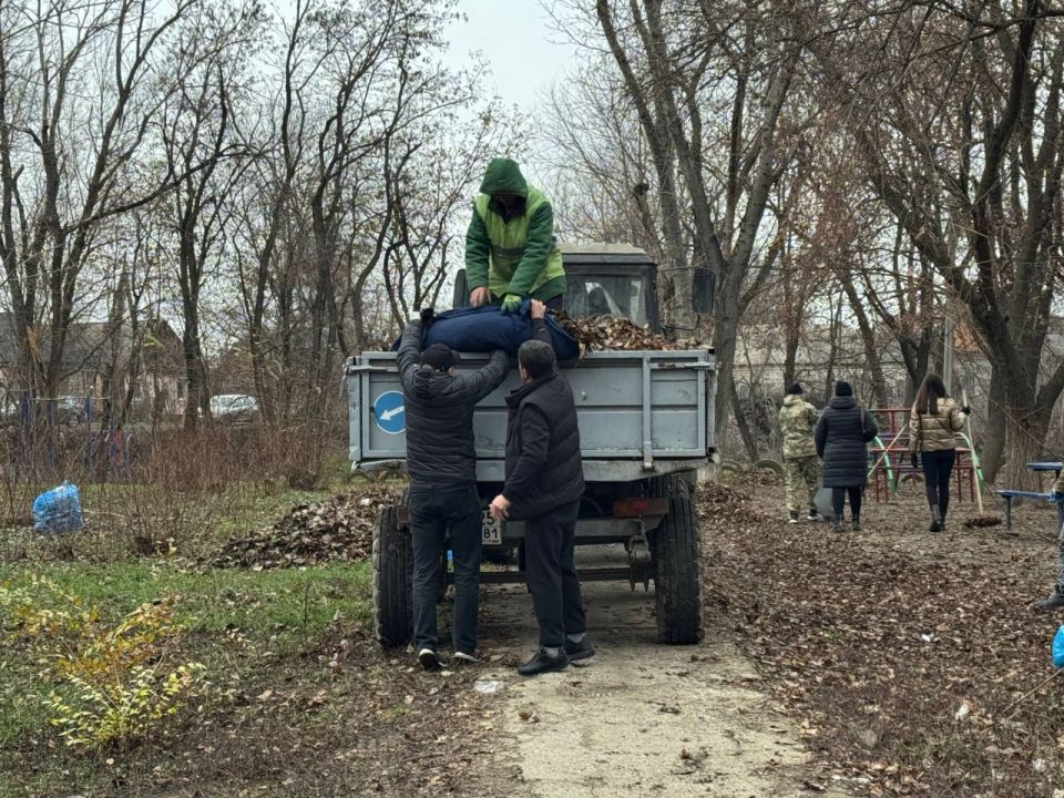 ���� ������: ���� �����������: ��������� ������ ����