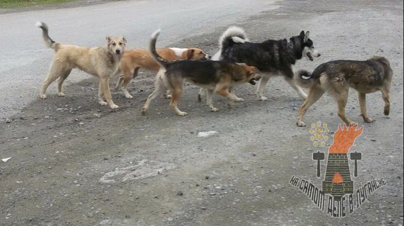 � �������� ������� ������� �������� ����� ��������� ����� �� ������� ������������� ������