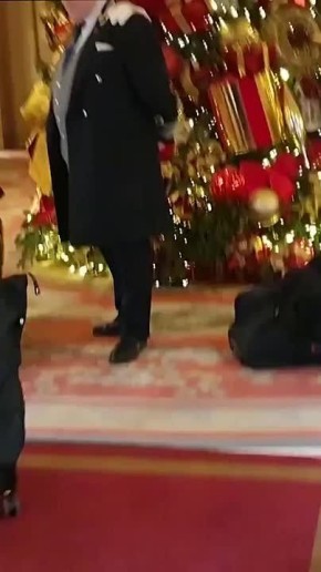 Активисты завалили конским навозом рождественскую елку в фешенебельном отеле Лондона The Ritz