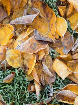 Синоптики прогнозируют 7 декабря в ЛНР от 3 градусов мороза ночью до плюс 4 градусов днем, ночью и утром местами ожидается туман и гололедица