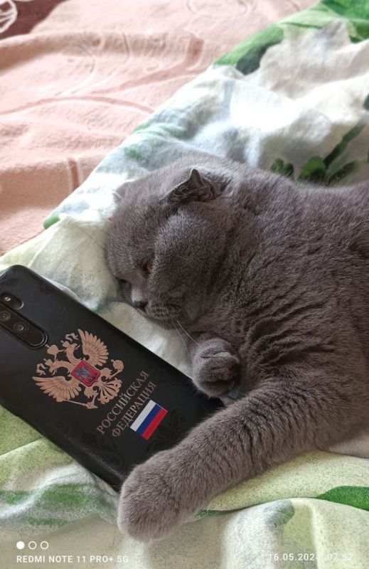 8 декабря на территории Луганской Народной Республики будет облачно с прояснениями