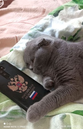 8 декабря на территории Луганской Народной Республики будет облачно с прояснениями