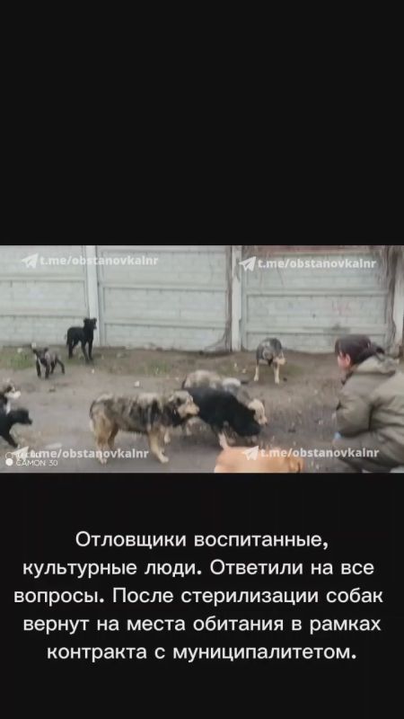 В Луганске прошел первый гуманный отлов бездомных собак!