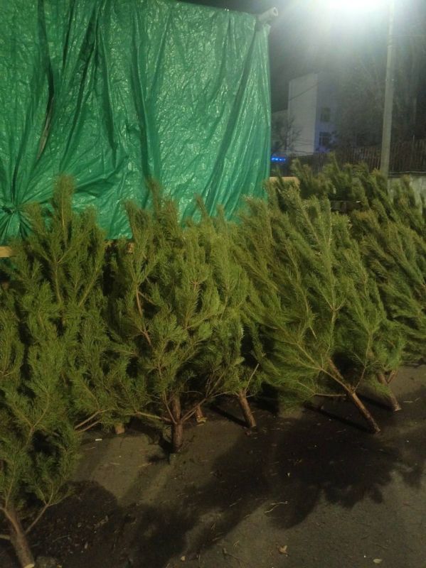 ����� ��� ������: � �������� ������ ��������� ����� ����