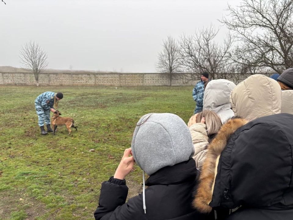 111111 Ученики полицейского класса познакомились со служебными псами Центра кинологической службы регионального МВД 111111 Ученики полицейского класса познакомились со служебными псами Центра кинологической службы регионального МВД