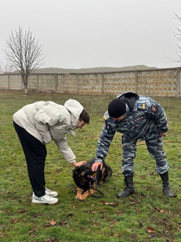 111111 Ученики полицейского класса познакомились со служебными псами Центра кинологической службы регионального МВД 111111 Ученики полицейского класса познакомились со служебными псами Центра кинологической службы регионального МВД