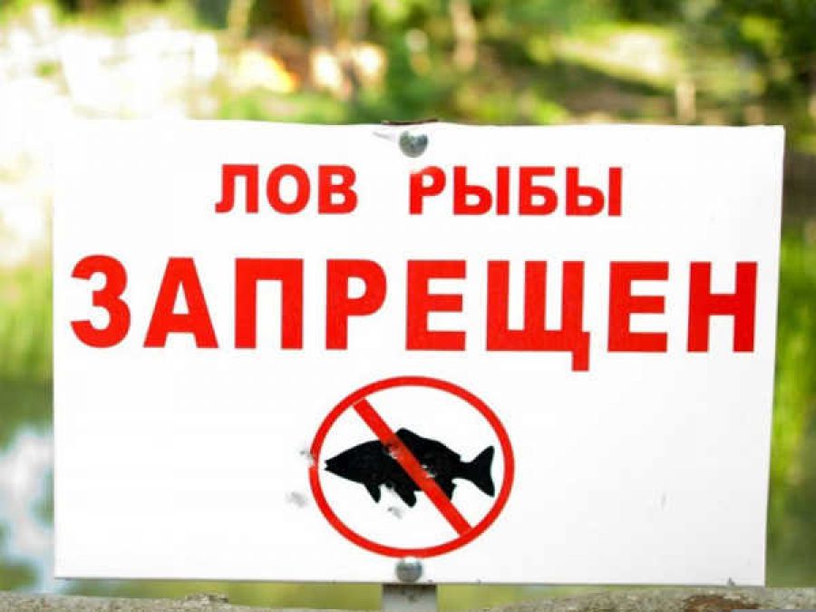 Сотрудники Краснодонского филиала Единой управляющей компании продолжают целенаправленно и эффективно работать над улучшением состояния жилого фонда на территории своего обслуживания Сотрудники Краснодонского филиала Единой управляющей компании продолжают целенаправленно и эффективно работать над улучшением состояния жилого фонда на территории своего обслуживания