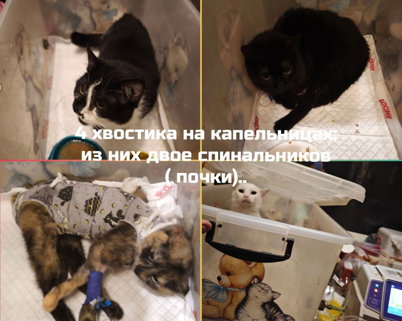 Друзья, по традиции, у "Мурысиного дома" г.Луганска, сегодня День Стольника! Друзья, по традиции, у "Мурысиного дома" г.Луганска, сегодня День Стольника!