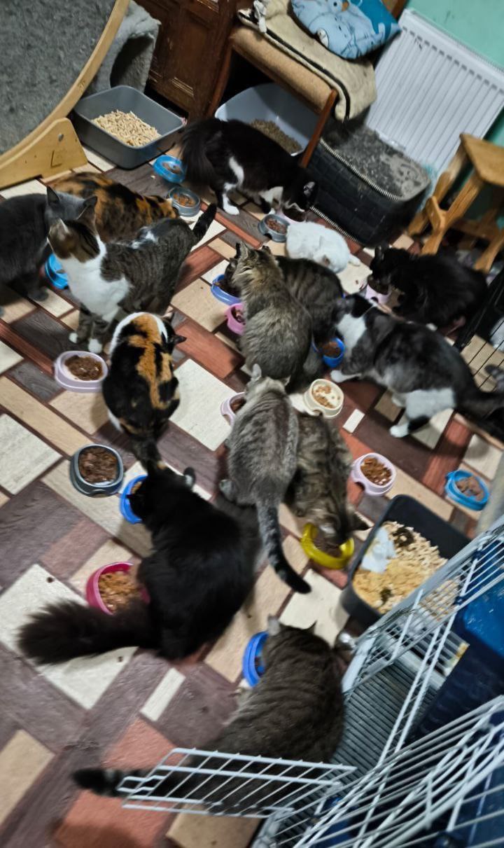 Друзья, по традиции, у "Мурысиного дома" г.Луганска, сегодня День Стольника! Друзья, по традиции, у "Мурысиного дома" г.Луганска, сегодня День Стольника!